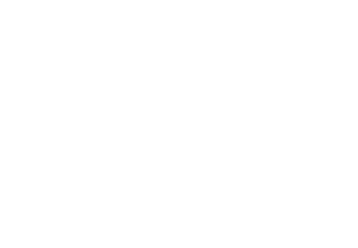 Magento E-commerce CMS logo 