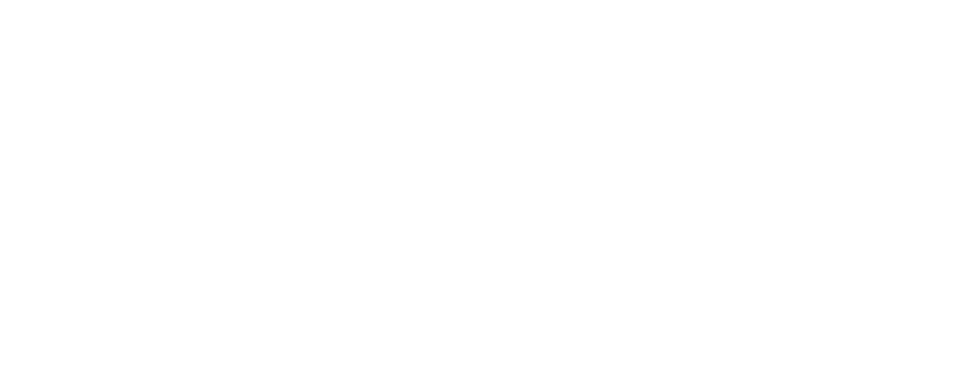 Pimcore CMS platform logo